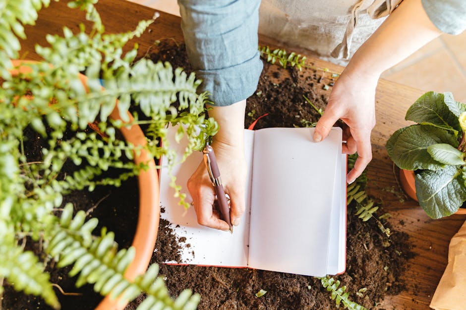 A person is engaged in garden maintenance, positioned at a wooden garden table with various potted plants and a small patch of soil. The individual, wearing a light gray long-sleeved shirt and rolled-up jeans, is holding a pen in their right hand and writing in a blank gardening notebook resting on the table. Surrounding the person are lush green plants, including a fern in a terracotta pot with fine, feathery fronds, and a large-leaved plant with glossy foliage. The soil area in front appears freshly turned, with loose, moist earth and small fern-like plants sprouting. To the right, neatly trimmed hedges or bushes outline sections of the garden, with a pathway or border visible beyond. The lighting is natural, indicating daylight, and the scene captures the meticulous care involved in garden upkeep, referencing garden maintenance and landscaping work that Gardeners Chelsea offers. The overall setting emphasizes the detail-oriented approach to lawn care, hedge trimming, and plant health monitoring typical of professional garden services.