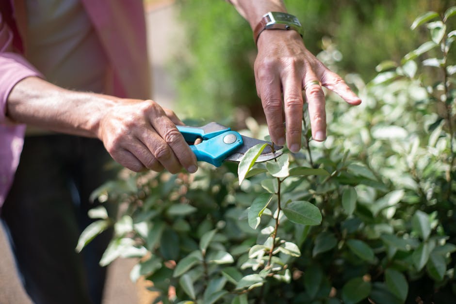 A person is engaged in garden maintenance, positioned at a wooden garden table with various potted plants and a small patch of soil. The individual, wearing a light gray long-sleeved shirt and rolled-up jeans, is holding a pen in their right hand and writing in a blank gardening notebook resting on the table. Surrounding the person are lush green plants, including a fern in a terracotta pot with fine, feathery fronds, and a large-leaved plant with glossy foliage. The soil area in front appears freshly turned, with loose, moist earth and small fern-like plants sprouting. To the right, neatly trimmed hedges or bushes outline sections of the garden, with a pathway or border visible beyond. The lighting is natural, indicating daylight, and the scene captures the meticulous care involved in garden upkeep, referencing garden maintenance and landscaping work that Gardeners Chelsea offers. The overall setting emphasizes the detail-oriented approach to lawn care, hedge trimming, and plant health monitoring typical of professional garden services.