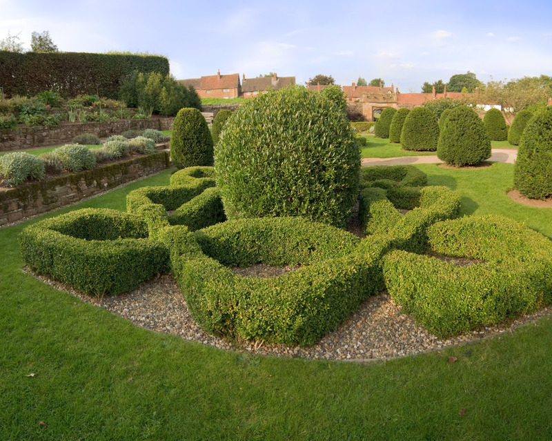 lawn care garden maintenance