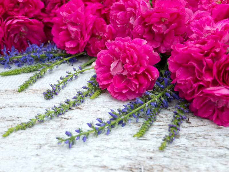 garden design Garden